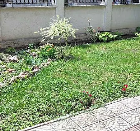 Family Adia Blue 3* Св. Св. Константин и Елена