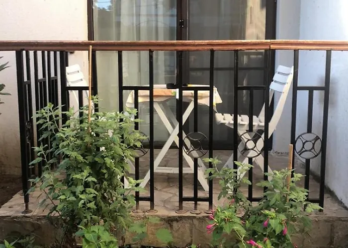 семеен свети петър